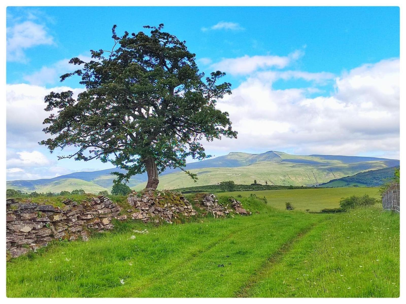 Little Cottage Of The Beacons Brecon Eksteriør bilde